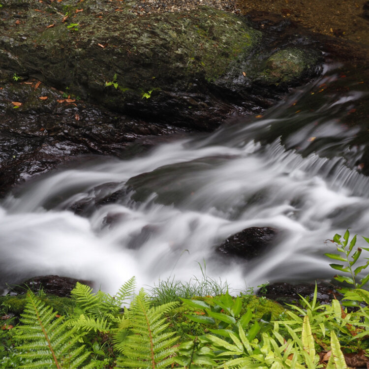 北摂 手持ち花火できる場所 高槻・茨木・摂津・吹田・豊中・池田 北摂てくてく