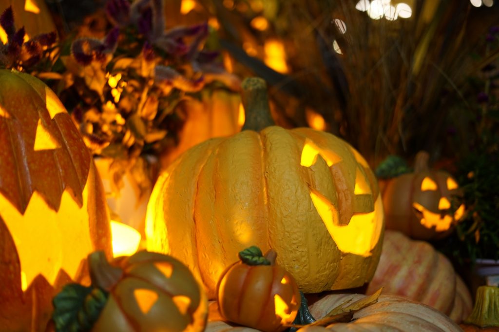 ハロウィン限定！ジャックオランタン作り体験♪ -山梨 AICAFEFARM -アイカフェファーム- リゾグラ リゾートグランピングドットコム