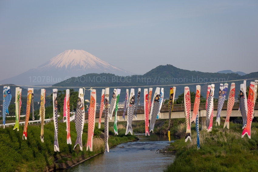 第９回 鈴川鯉のぼりまつり - Kのコココレいいじゃん