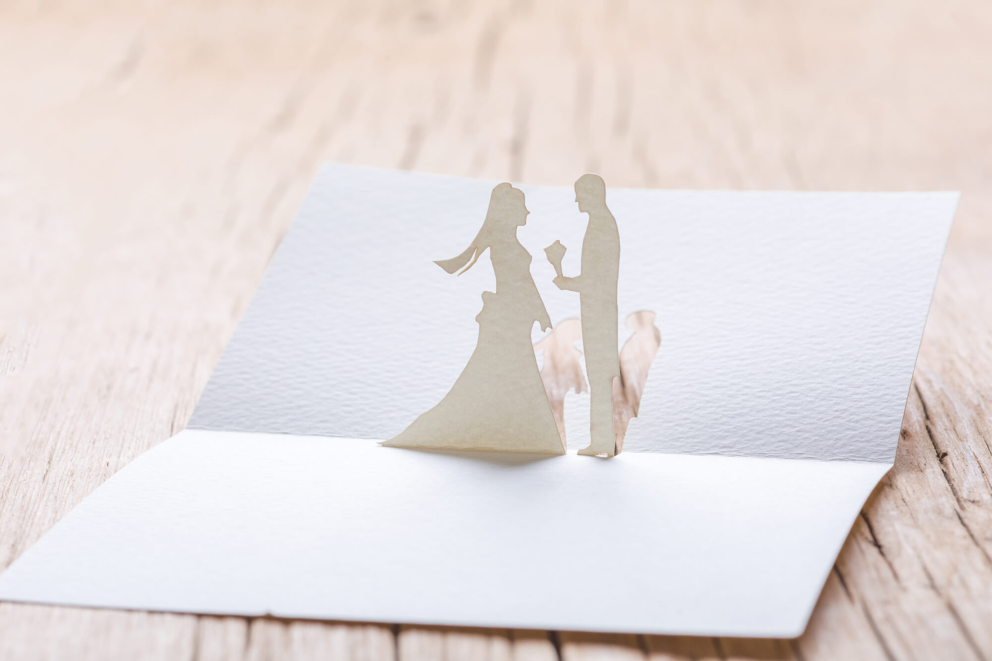 結婚内祝い進物の大進