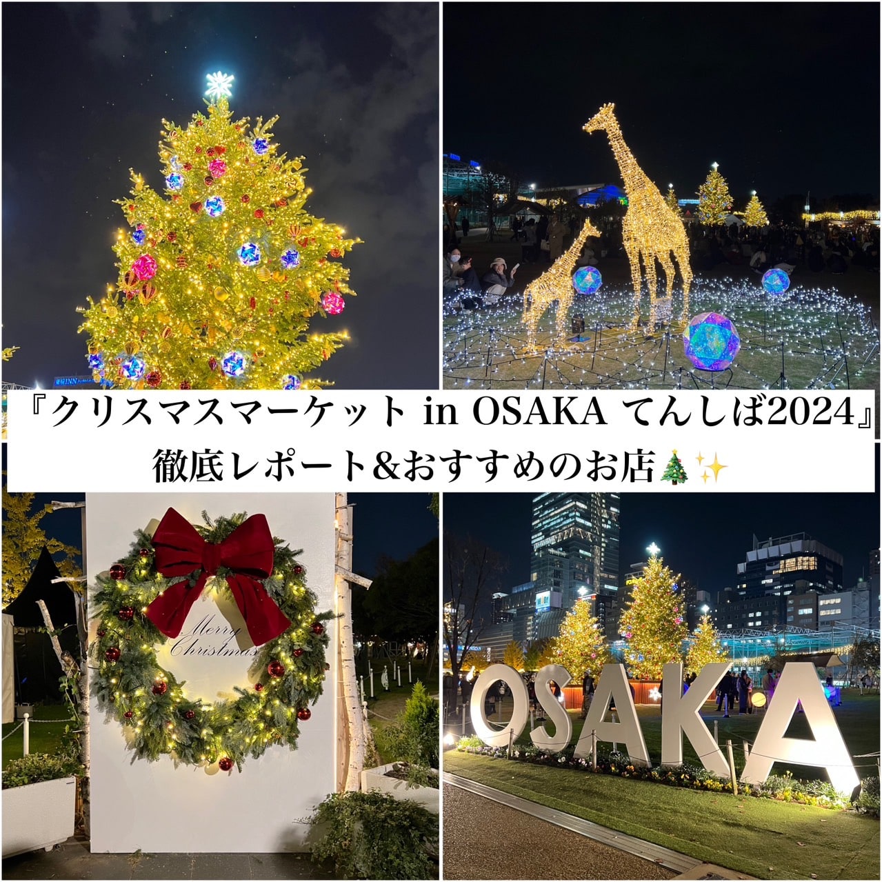 桃源郷 ずっと夢だったドイツのクリスマスマーケットに行った結果 → 「クリスマスがあれば彼氏いらない」という逆転の境地に至るロケットニュース24