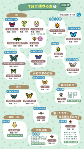 あつ森誕生日 7月28日トンコ🎉毎日キャラ紹介 あつまれどうぶつの森