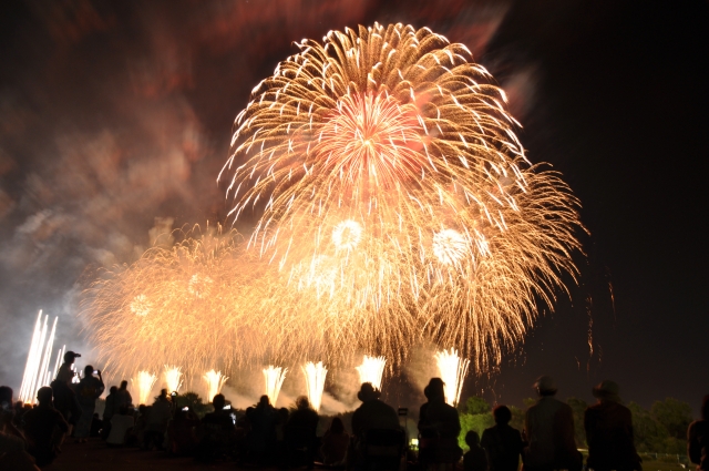 2025こうのす花火大会 ポピー会場からの見え方・開催情報・魅力ポイントは？┃花火専門サイトふぁいん