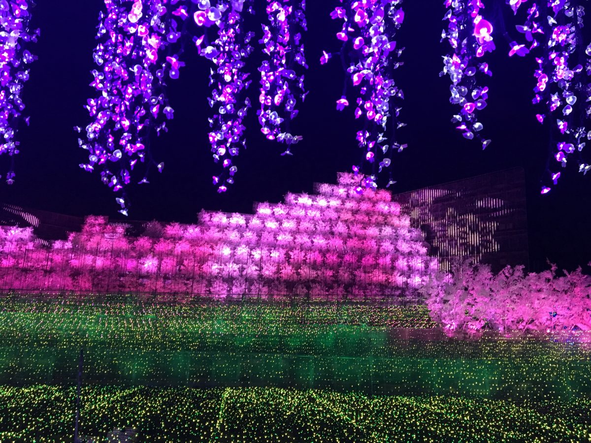 名古屋駅から約30分！2023-2024「なばなの里」のイルミネーションは異次元レベルで美しい楽天トラベル