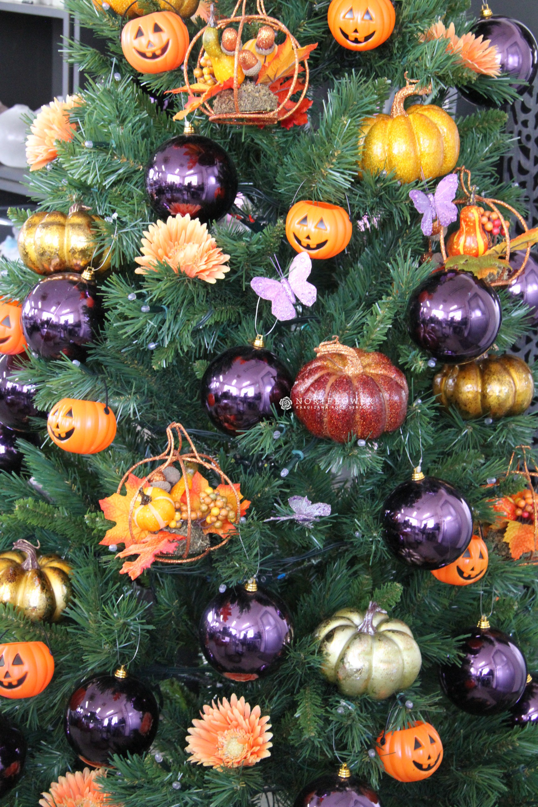 ハロウィン風 クリスマスツリー : NORIFLOWER ‐ 軽井沢