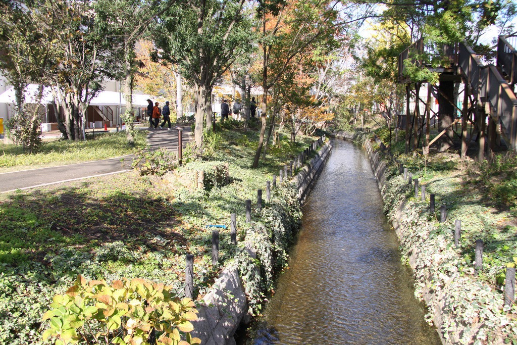 倉敷みらい公園駅前に広がる水と緑の癒やし空間 倉敷駅周辺岡山スタイル