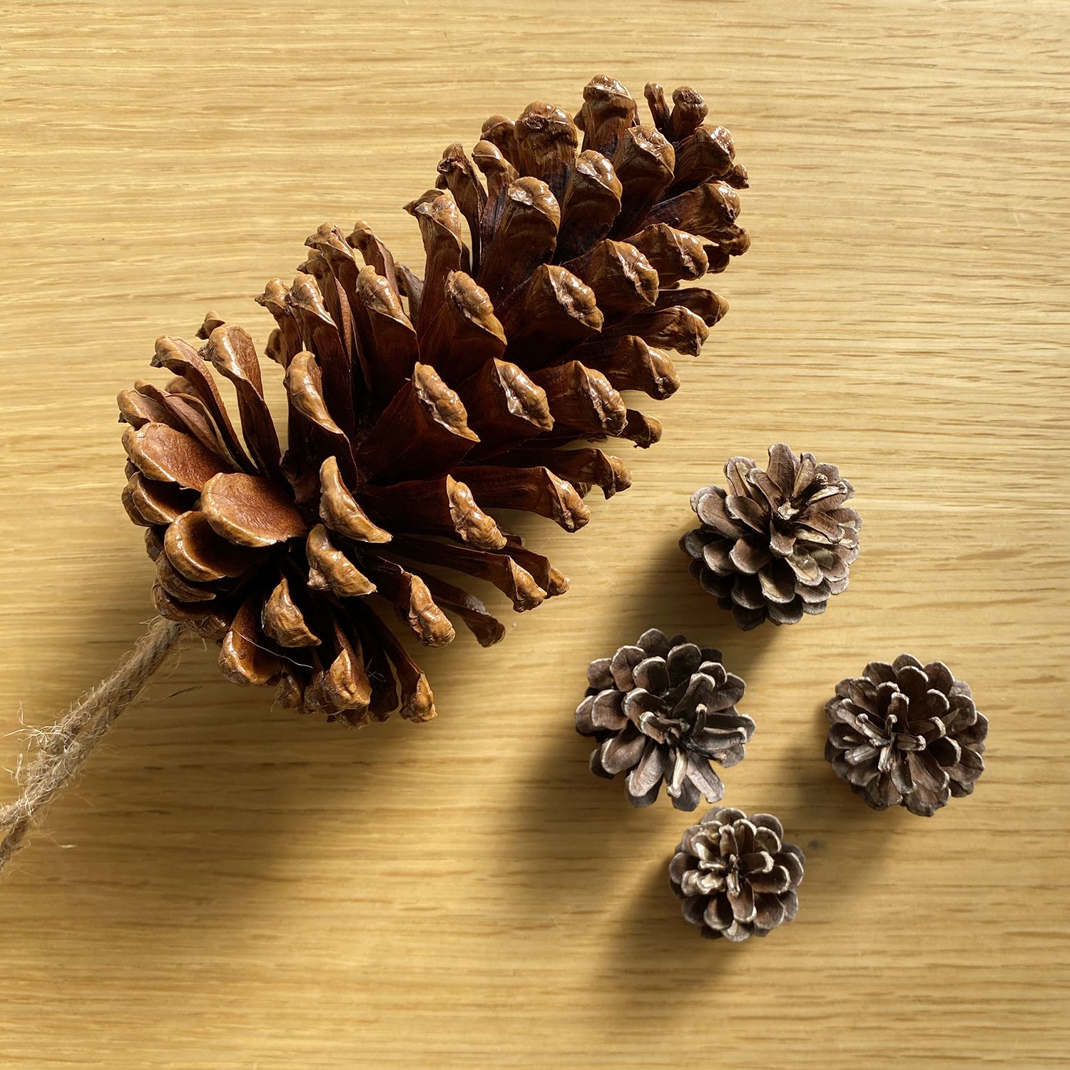 楽天市場 クリスマスリース 松ぼっくり リボン 彩か Saika RibbonWreath-NaturalPinecone&Berry MCGX-R07M 32cm インテリア ナチュラル : YokaNoOtomo 楽天市場店