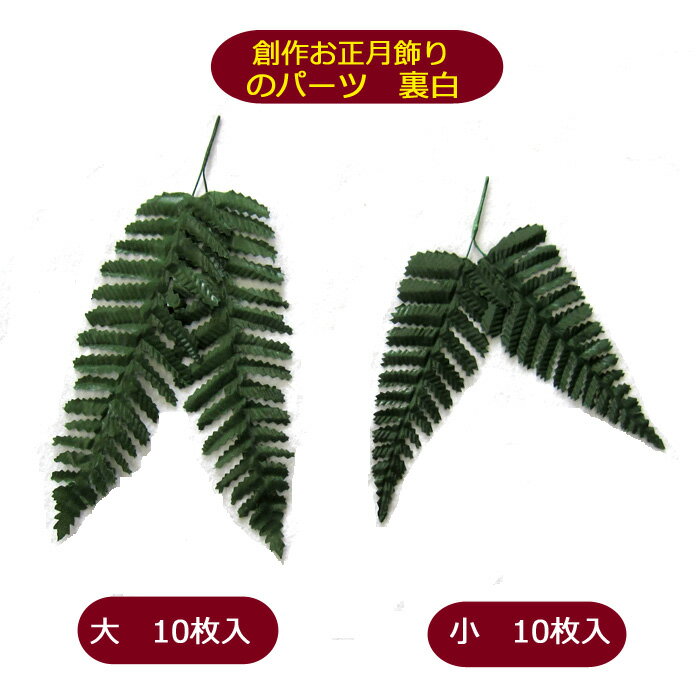 正月飾り用の裏白 写真素材5652698- フォトライブラリ