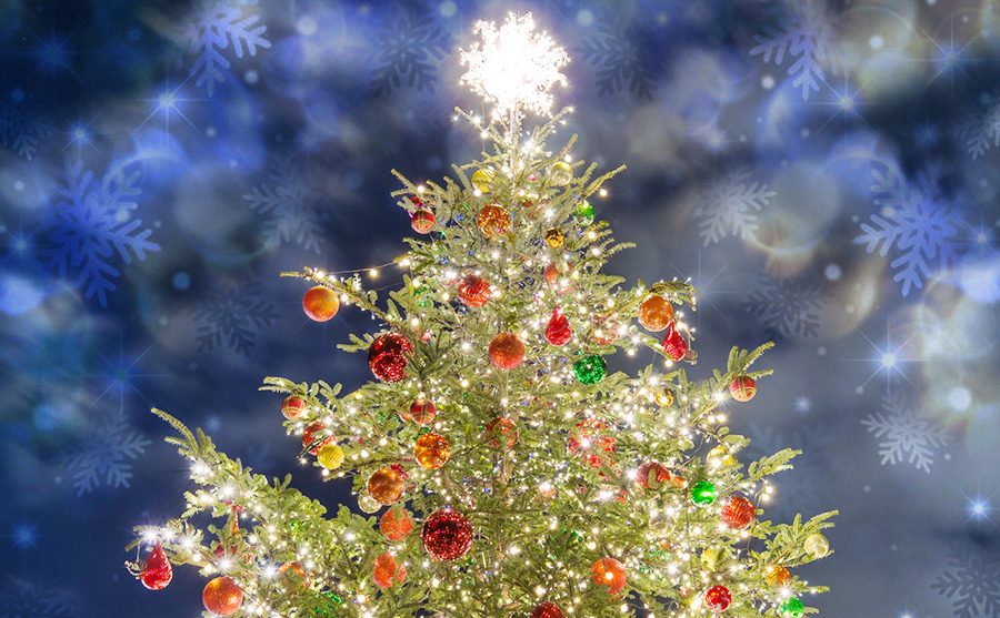 ヒイラギと松ぼっくりのクリスマス飾り 季節・行事 その他一般・装飾 の無料イラスト介護アンテナ