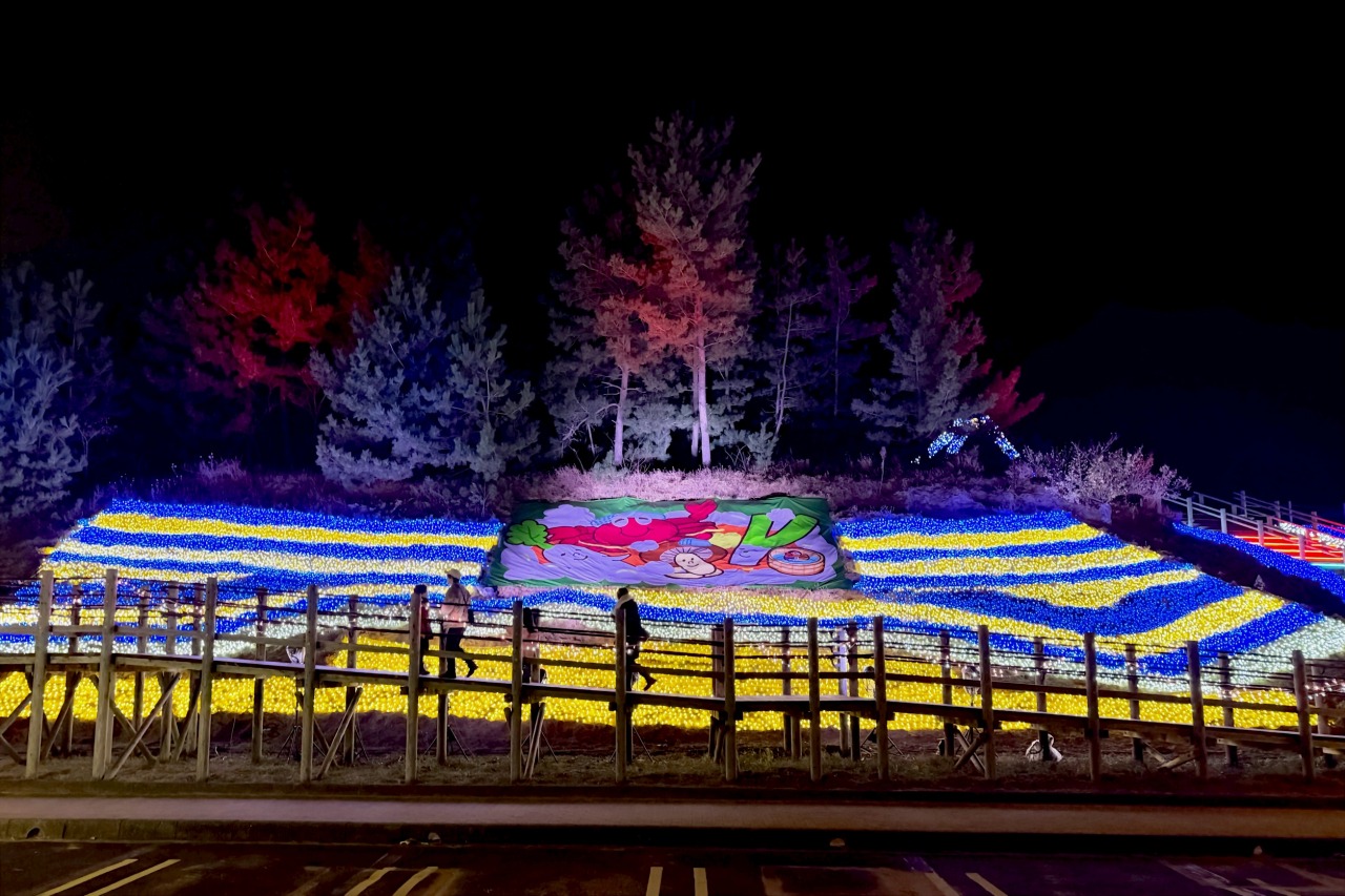 2024年冬版 鳥取県で開催されるイルミネーションスポット♡友人、家族とのお出かけにオススメ トリーまとめtory トリー