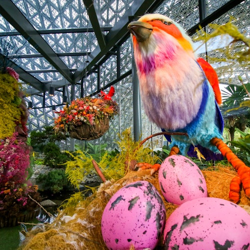 シンガポール フローラルファンタジー Eチケット予約 ガーデンズバイザベイ即日発券楽天トラベル 観光体験