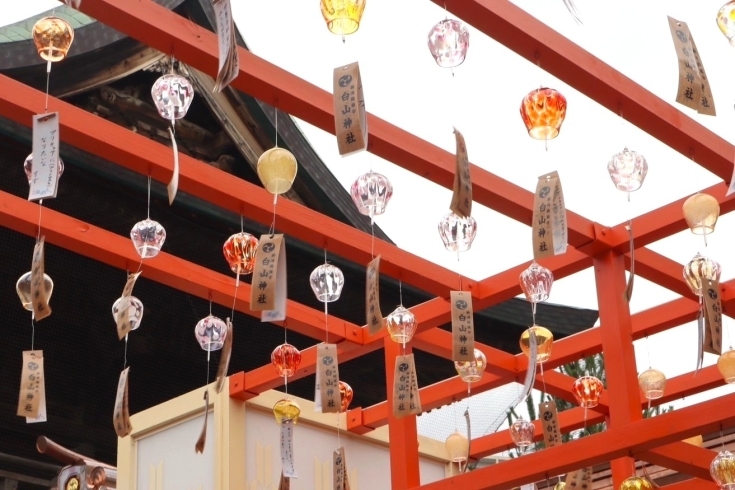 七夕風鈴まつりは21日祝日まで開催しています。18時すぎから21時までライトアップを行っています。 7月12日土曜日から18日までぽっぽ焼きなどの屋台が30軒ほど出店予定です。各々の出店時間を神社は把握しておりません。天候や売れ行きにより閉店時間が変わると思われ