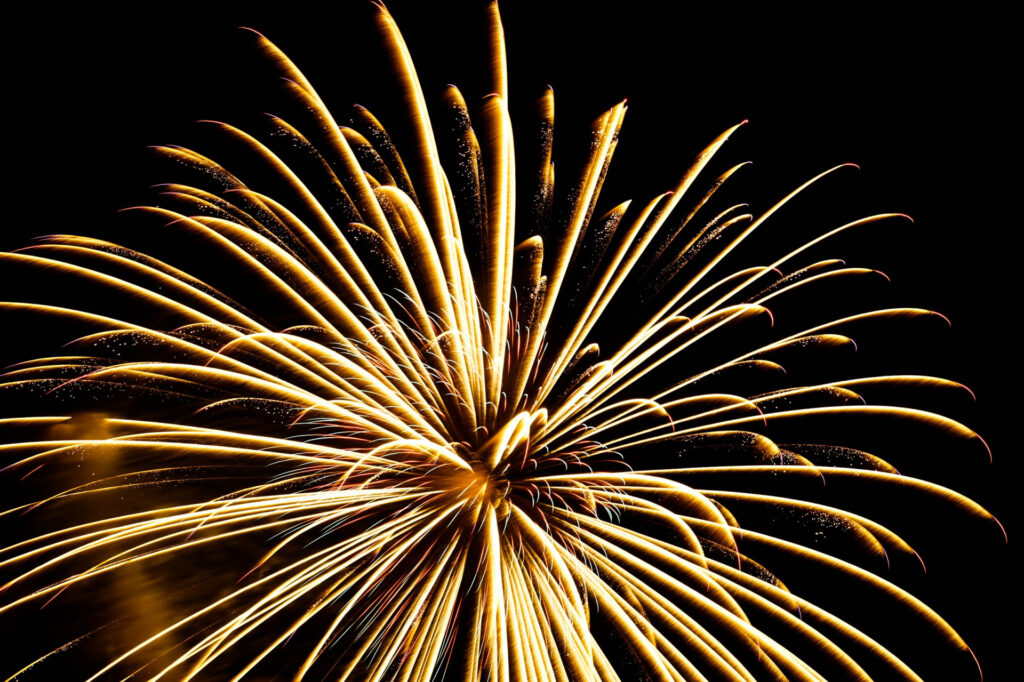 花火販売 打上花火