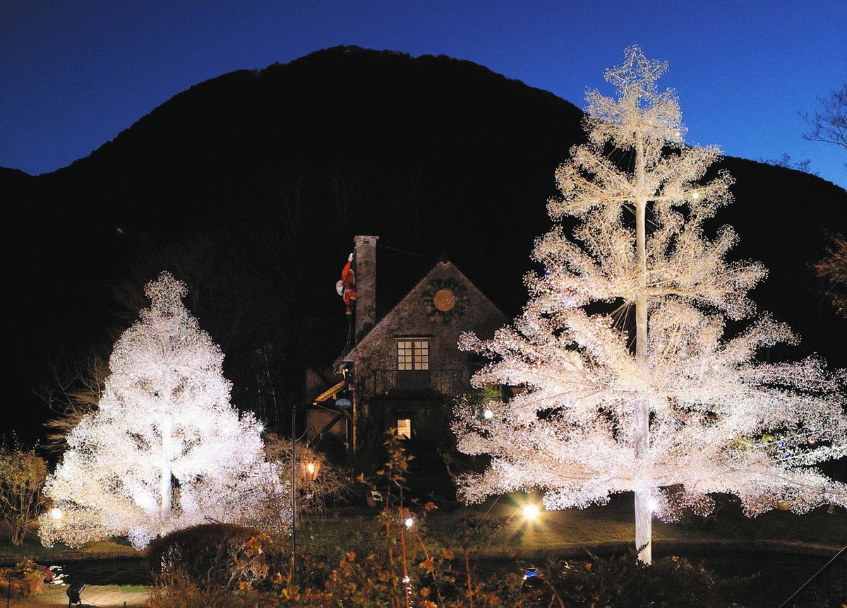 箱根強羅公園のクリスマスイルミネーション「森のトンネル」を開催！株式会社小田急箱根のプレスリリース