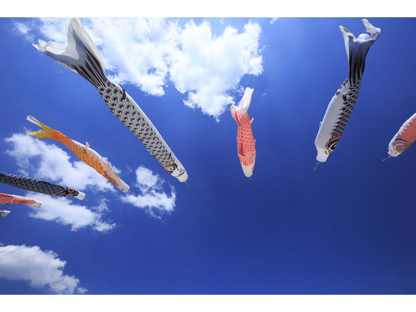 ちりめん手芸キット・つまみ細工で作る 輪っかの鯉のぼり 生地 和柄 和布 ちりめん手芸通販布がたり