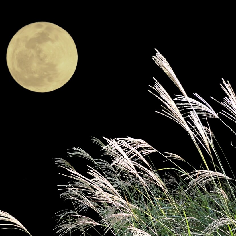 十五夜の月見団子はなぜお供えする？ 由来や団子の並べ方、レシピをご紹介Oggi.jp十五夜の月見団子はなぜお供えする？由来や団子 の並べ方、レシピをご紹介