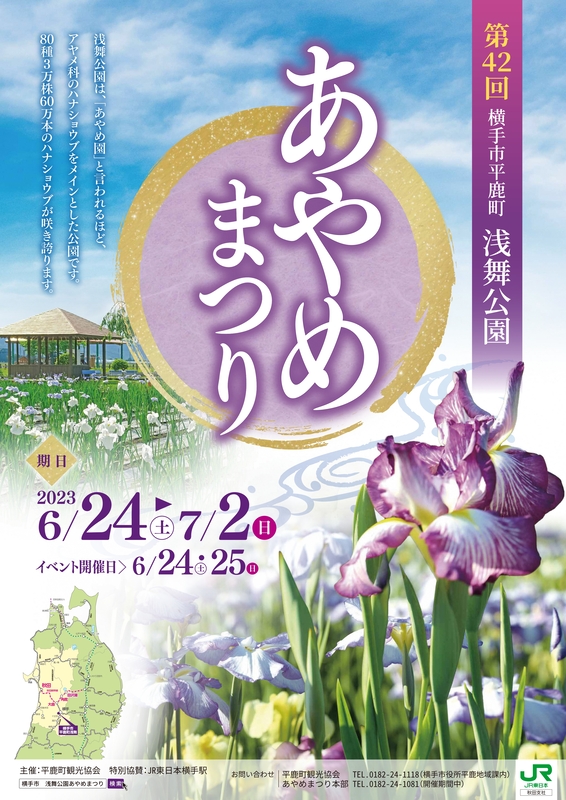 浅舞公園あやめ祭り2021の写真素材79555098- PIXTA