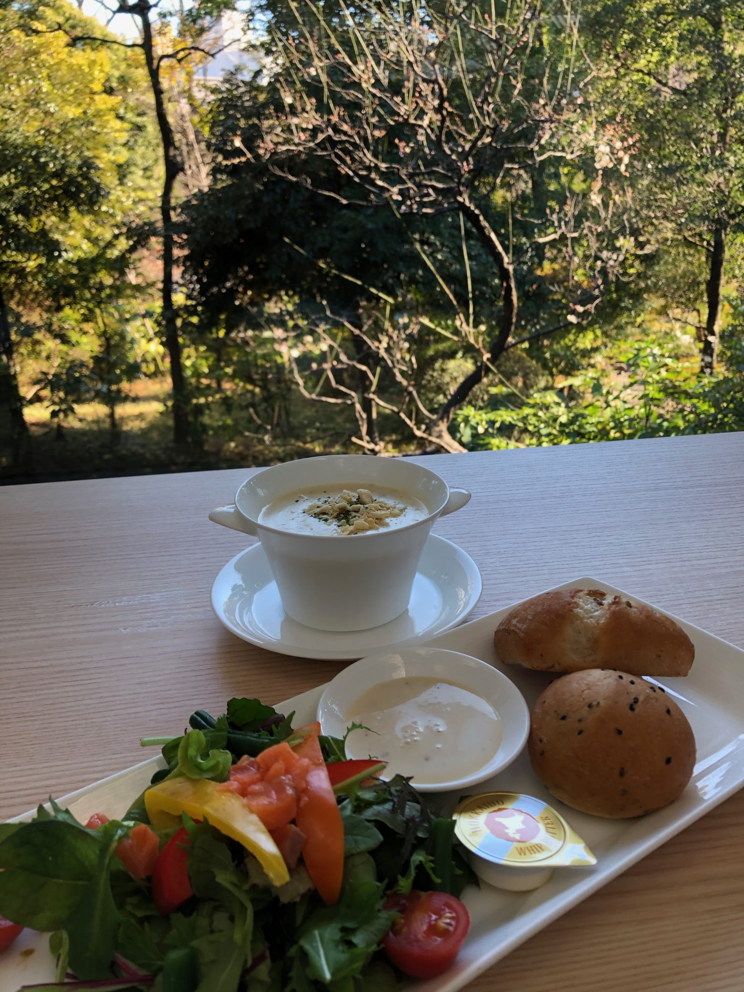 東京で最高のミュージアムカフェの一つ。いつの季節でも楽しめる根津美術館の「NEZU CAFE」歩いて知った麻布ガイド