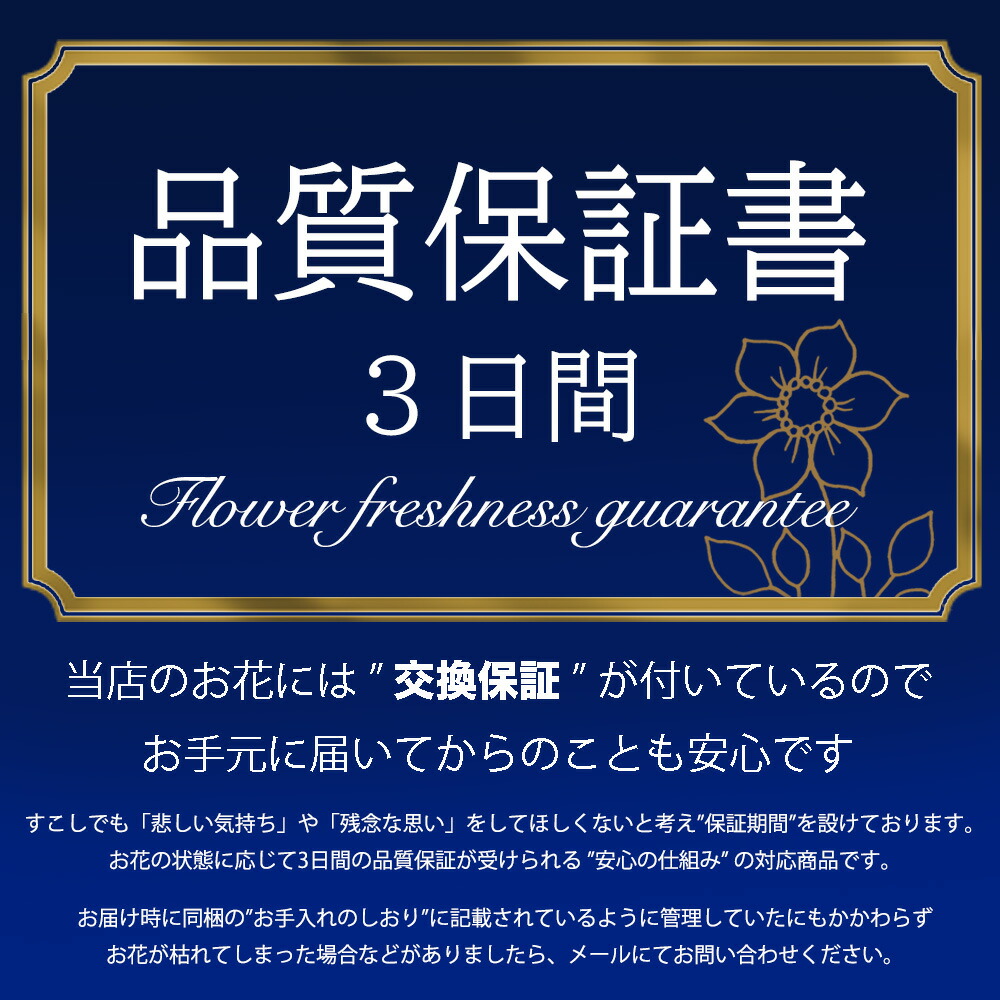 レディース ブレスレット プルメリア 花モチーフ ハワイアンジュエリー シルバー925 ピンク ブルー クリア ギフト プレゼント 誕生日 クリスマス記念日 母の日 彼女 女友達 妻 記念品 20代 30代 40代 50代 上品 華奢 可愛い 人気 アクセサリー -Rose Glitterギフト