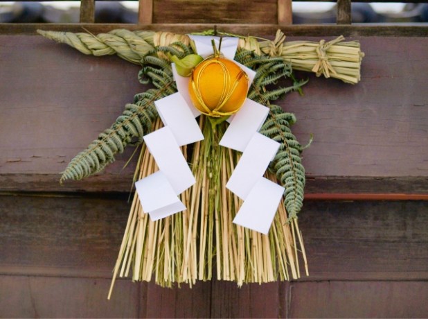 ウラジロ 正月飾りにウラジロ 裏白 が使われるようになったのはなぜ？ - アタマの中は花畑