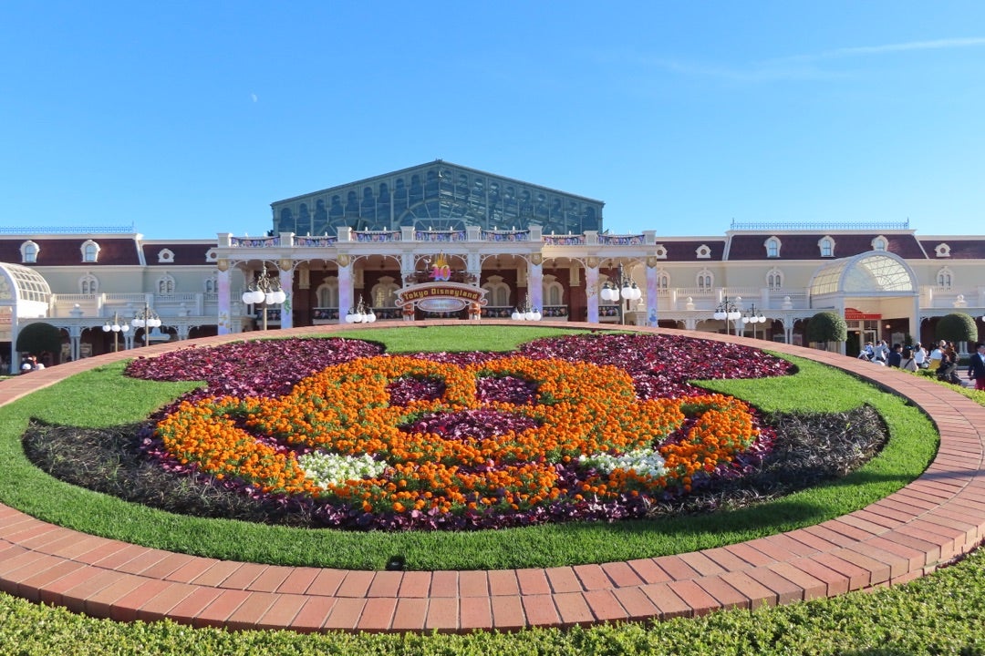 ディズニーランド ディズニー・ハロウィーン『フォトロケーション＆デコレーション』撮影レポートBe Our Guest ディズニーブログ