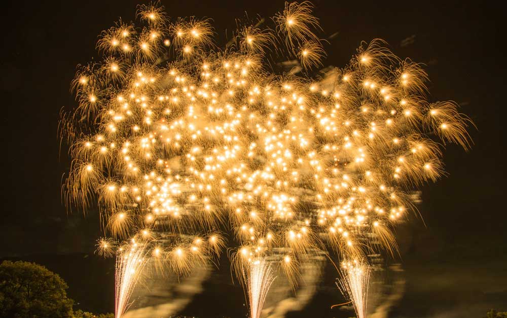 大阪・長居公園 春の花散歩に夜のデジタルアートも！デートにおすすめ＜2024＞ じゃらんニュース