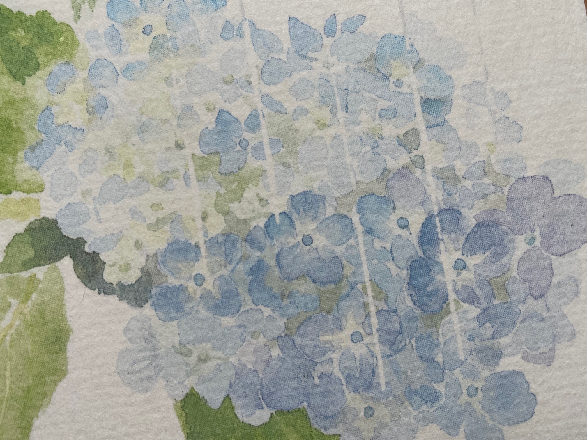 季節のご挨拶 梅雨見舞いにほっこりどす╰ *´︶`* ╯♡自由に♪素敵に♪笑顔で生きる♪生粋京女♪