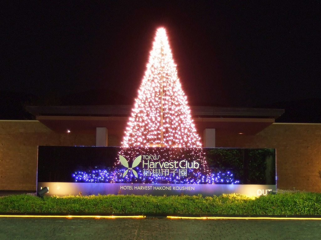 心ふるえる冬景色。「箱根ガラスの森美術館」クリスタルガラスのツリーORICON NEWS