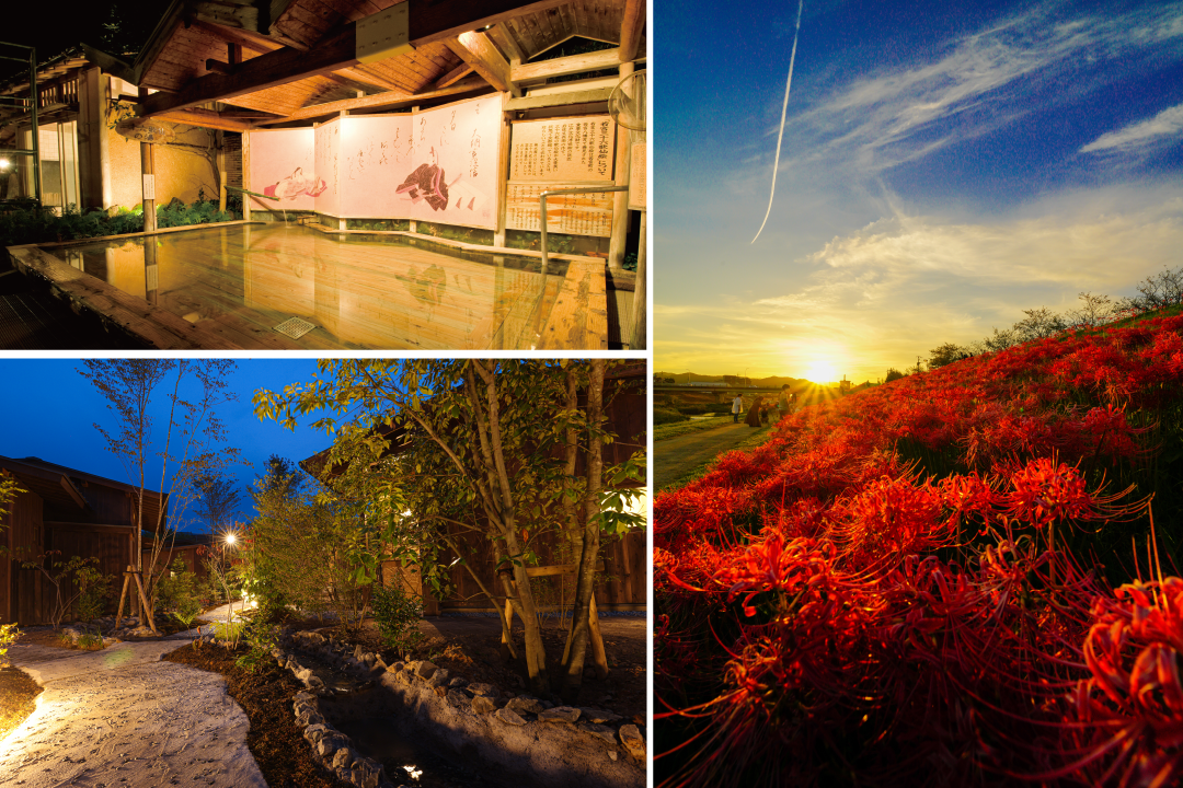 9月28 日曜日宮若市市制20周年記念事業 宮若市ヒガンバナまつり宮若市