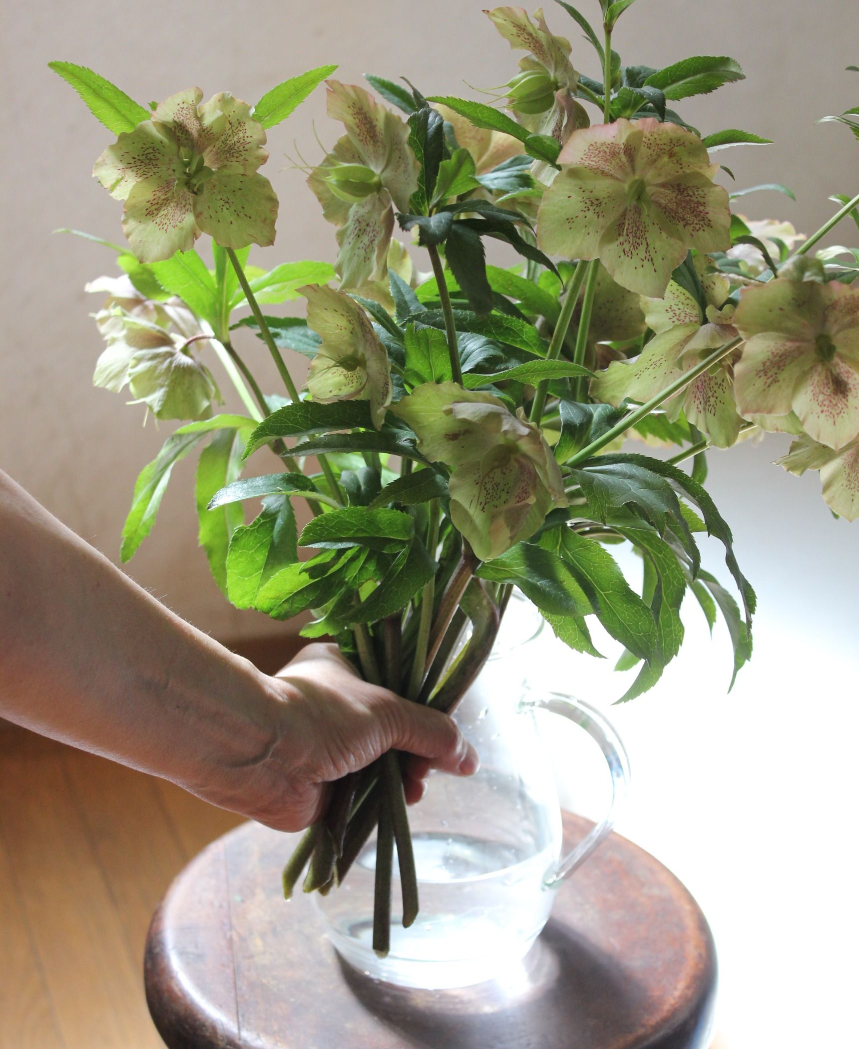 クリスマスローズの、上手なドライフラワーの作り方と簡単アレンジGardenStoryガーデンストーリー