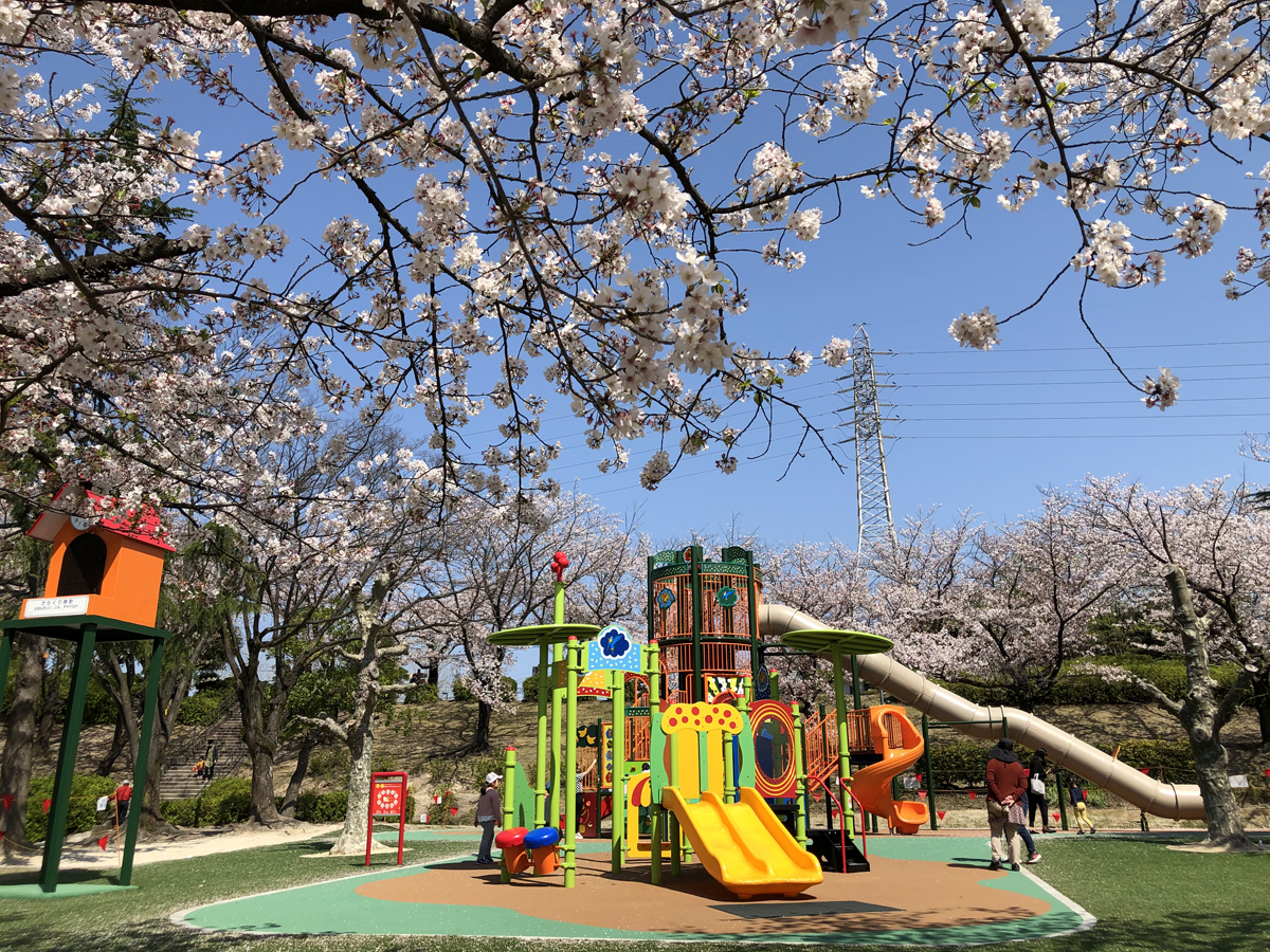 大池公園桜まつり株式会社 まちづくり東海