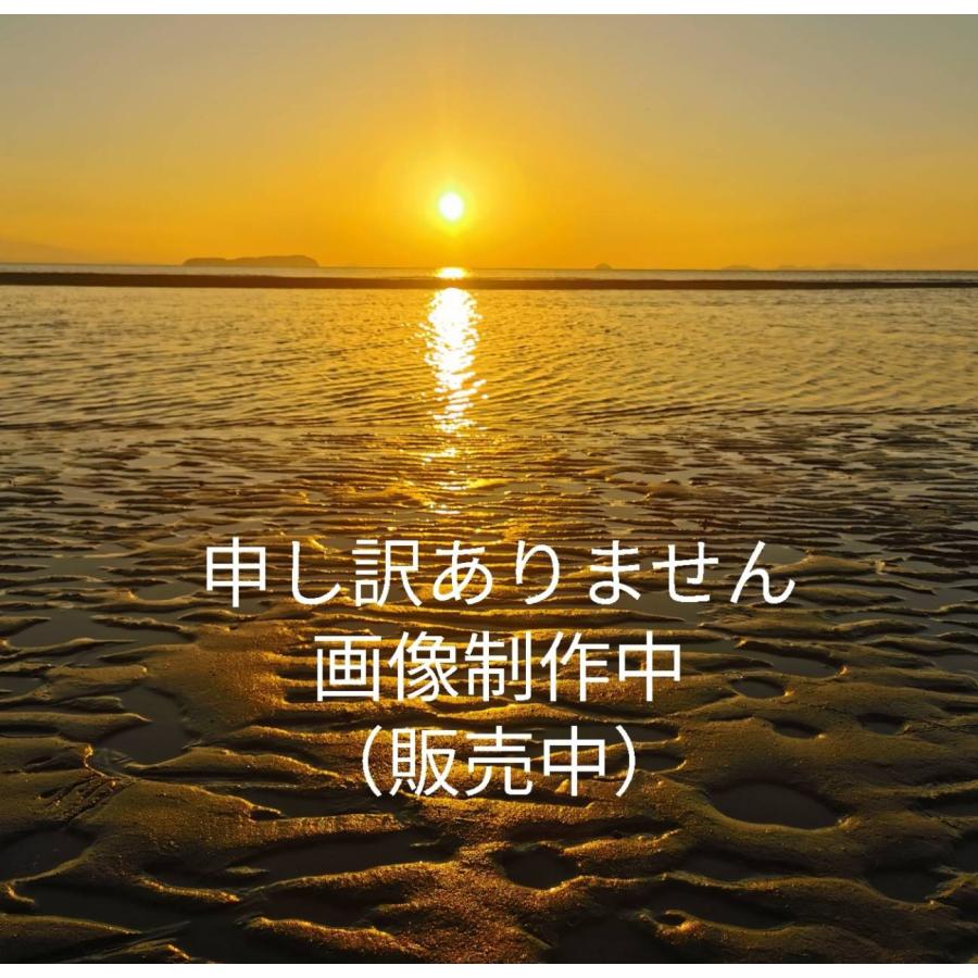 DAISO ダイソー 広報おすすめ！話題の新商品をチェック お正月グッズインテリア雑貨Mart マート 公式サイト光文社