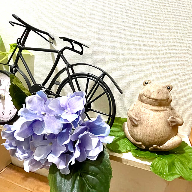 ダイソー 梅雨の商品を使ったおしゃれなインテリア実例RoomClip ルームクリップ