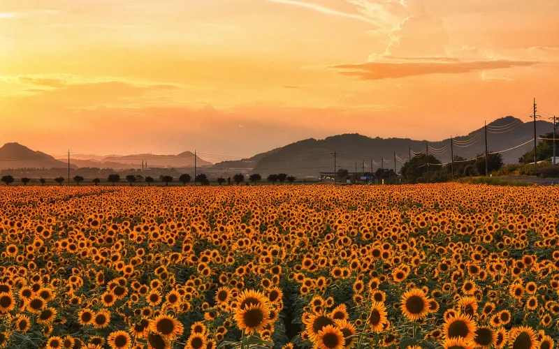 最大5時間も変化！ 日が短くなる秋冬。夏との日照時間との違い＆リスクを徹底調査してみたYAMA HACK ヤマハック