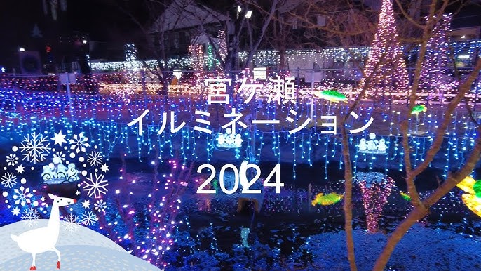宮ヶ瀬クリスマス2022会場動画3年ぶりの大吊橋イルミ、そして気球体験も！神奈川観光イルミネーション宮ヶ瀬宮ヶ瀬クリスマス
