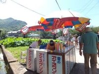 提灯 ちょうちん 43742 アイスクリーム 八寸丸 白φ240×H250mm 1個 祭 縁日 屋台 飲食店 販促 商売繁盛 受注生産品LINEブランドカタログ