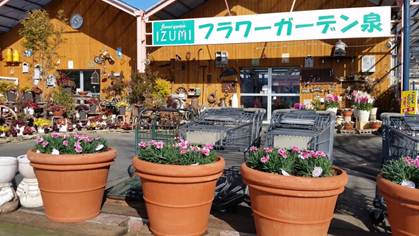 フラワーガーデン泉の新着記事アメーバブログ アメブロ