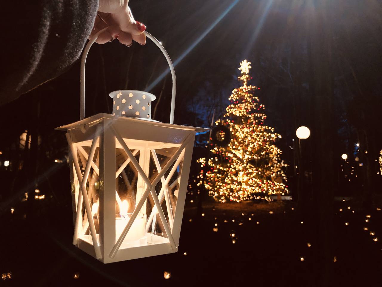 軽井沢高原教会 星降る森のクリスマスイルミネーション特集