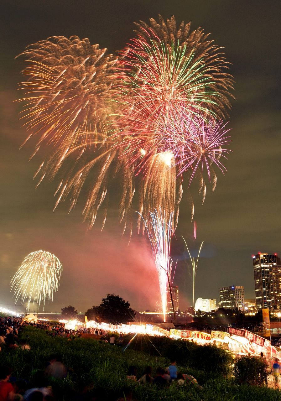 秋の夜空に 大輪の花！ - 法人格 砧町自治会