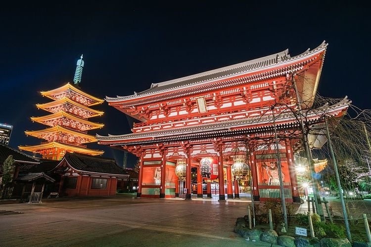 浅草・羽子板市で購入した羽子板 - メルカリ
