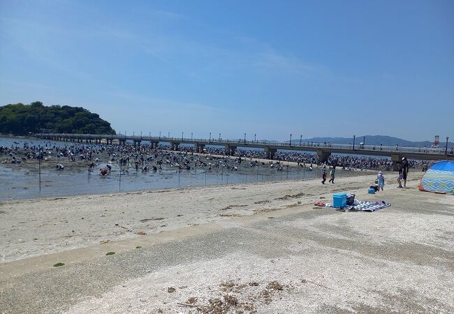 竹島ガーデンピクニック2023 ～アイランド＆わんわん～公式 愛知県の観光サイトAichi Now