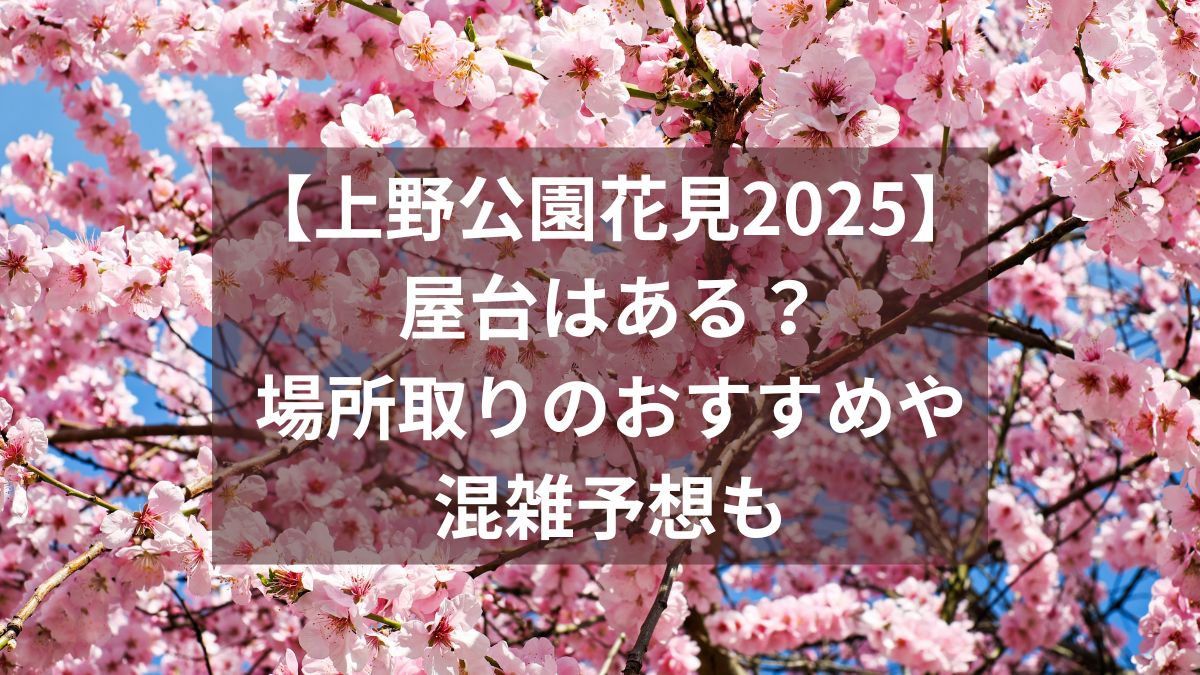 エア花見」「インドア花見」が増殖中？ 桜の名所・上野公園にもちょっとした変化ハフポスト NEWS