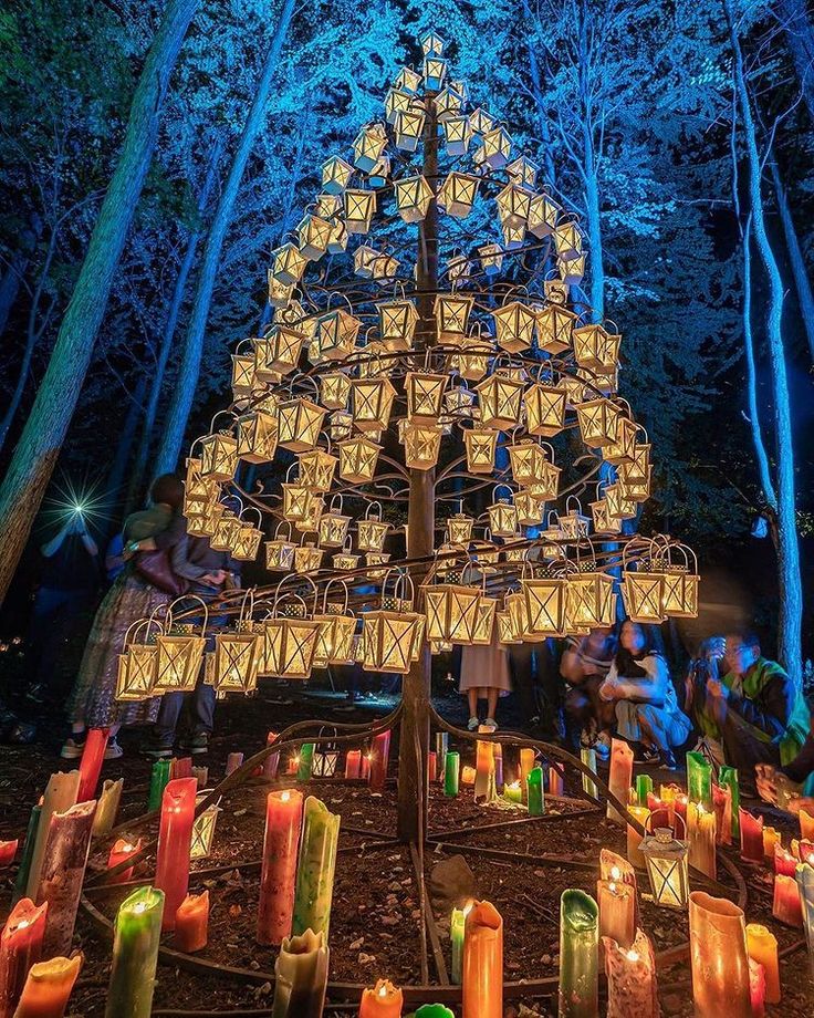 無数のキャンドルが、森を彩る新着情報軽井沢ウェブ