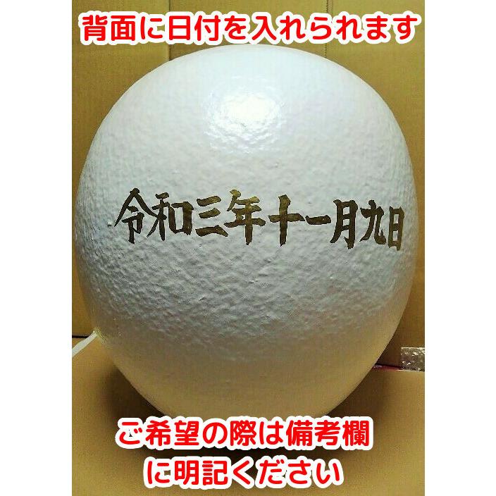 ダルマ回り 後ろダルマ回り コツ 50代素人いつまでできるかな？ - YouTube