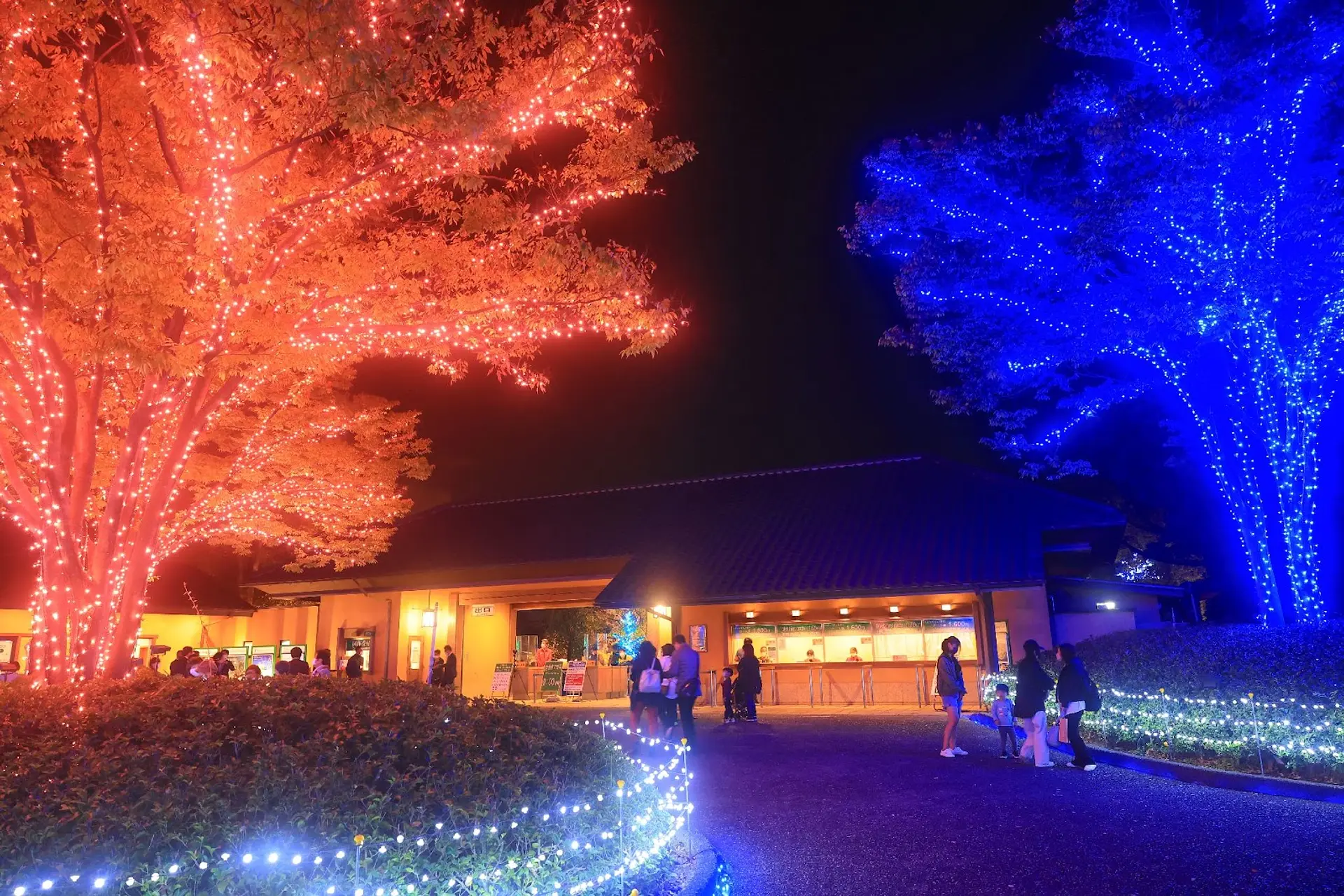 なばなの里で大人な休日を。イルミネーション点灯までの過ごし方ガイド楽天トラベル