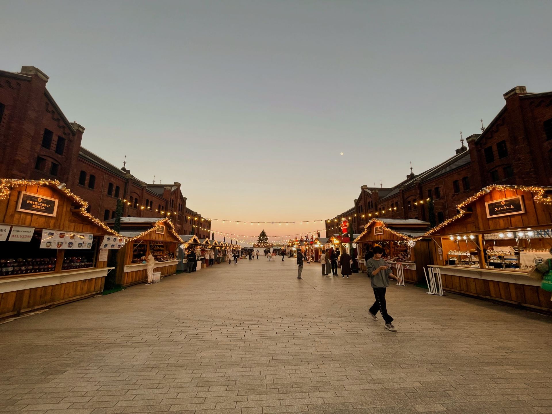 Xmas限定アフタヌーンティーセットが11月6日 水 、7日 木 からスタート🎄 キラキラ、シャイニーな世界観をお楽しみください⭐️限定ドリンクも登場🫖今年のクリスマスは、個室でゆっくりアフタヌーンティーはいかがですか🎄⭐️ クリスマス特別バージョンの個室は