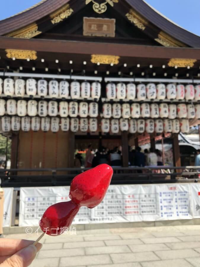 難波八阪神社 恋鯉守りおみくじ好き