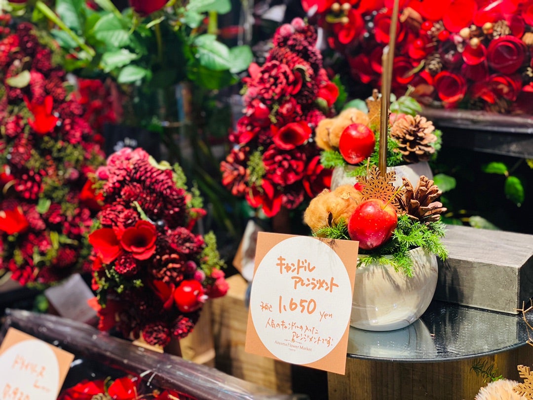 クリスマス気分を盛り上げるリースやポインセチアが勢揃い！天神サイト