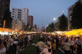 2025年版！東京下町の風物詩 入谷朝顔まつり の朝顔市でお気に入りの朝顔を見つけよう*and trip. たびびと