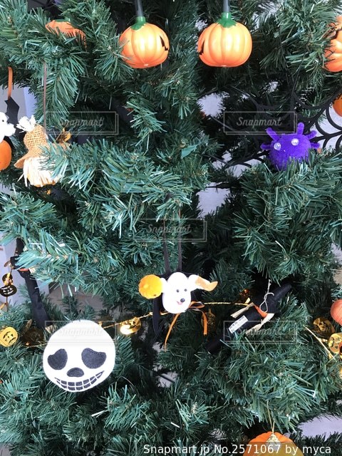 場所を取らずに飾れるハロウィン＆クリスマスツリーCreema SPRINGS